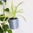31.png Set of 6 Wall Planters!