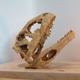 IMG_20210619_151912.jpg Majungasaurus Schädel 3D-Druck - Dinosaurier