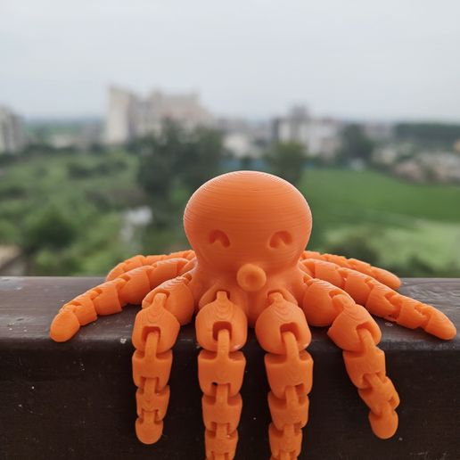 Cute Mini Octopus