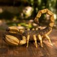 04.jpg ARTICULATED SCORPION