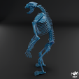 Arctodus-skeleton-wax-4.png Arctodus simus - short faced bear skeleton 3D print model