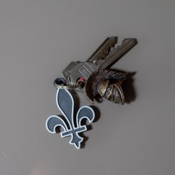 P1016042-RW2_DxO_DeepPRIME.jpg Fichier 3D ⚜ Fleur de Lys Keychain ⚜・Modèle à imprimer en 3D à télécharger