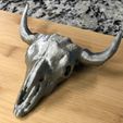 Bufffalo Skull (Large)