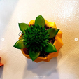 planter2.PNG 3D-Datei Kühlschrank-Pflanzgefäße kostenlos・Modell für 3D-Druck zum herunterladen
