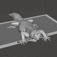 Cap2.jpg Uromastyx - Spiny Tailed Lizard - Realistic Dabb Lizard Pet Reptile
