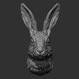 3.jpg Hare head