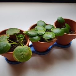 20210611_202041.jpg Free STL file Mini pots to plant・3D printer design to download