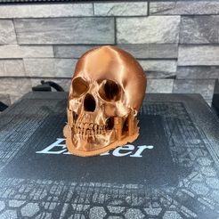 To Make or not to Make