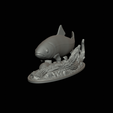 pstruh-klacky-1-13.png rainbow trout 2.0 underwater statue detailed texture for 3d printing