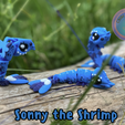Sonny-the-Shrimp.png Cute Flexi Ocean Animal Bundle