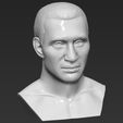 11.jpg Wladimir Klitschko bust 3D printing ready stl obj formats