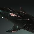 06y.jpg SHARK, DOWNLOAD Shark 3D modeL - Animated for Blender-fbx-unity-maya-unreal-c4d-3ds max - 3D printing SHARK SHARK FISH - TERROR  - PREDATOR - PREY - POKÉMON - DINOSAUR - RAPTOR