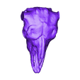 Buffalo_skull_head_no_horns.stl Bufffalo Skull (Large)
