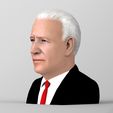 untitled.1131.jpg Joe Biden bust ready for full color 3D printing