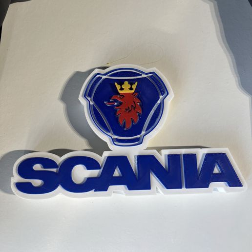 IMG_8785.jpg ARTE DECORATIVA SCANIA