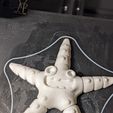 Cute Flexi Print-in-Place Starfish