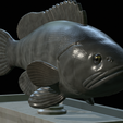 White-grouper-statue-25.png fish white grouper / Epinephelus aeneus statue detailed texture for 3d printing