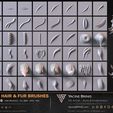 60-VDM-and-Alpha-Hair-and-Fur-Brushes-for-ZBrush-Sculpted-By-Yacine-BRINIS-Volume-01-Set-002.jpg 60 VDM and Alpha Texture Hair and Fur Brushes Volume 01