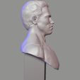 5.jpg Arnold Schwarzenegger 3d sculpture bust
