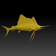 ffff1.jpg sailfish- fish for game ue5 - fish lowpoly