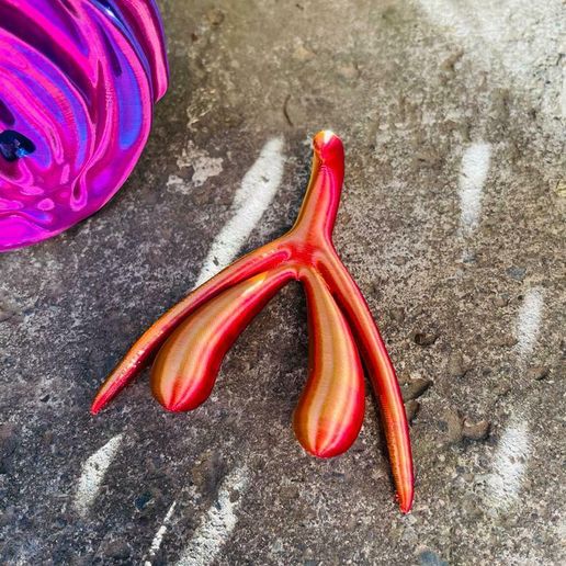 WhatsApp-Image-2023-08-25-at-19.15.41-4.jpeg Anatomical vagina, vulva and clitoris