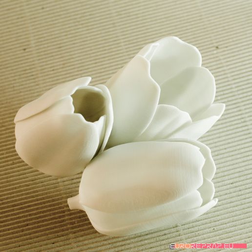 04.jpg Download STL file flowers: Tulip - 3D printable model • 3D printer object, euroreprap_eu