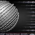 Human-Skeleton-IMM-Brushes-Sculpted-By-Yacine-BRINIS-Set-025.jpg Human Skeleton IMM Brushes
