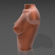 03.png 3D file Bust 08・3D printable model to download