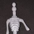 IMG_20230515_224730014.jpg Skelite-type Monster High body