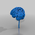 bbc35c1955d26aa515bcdcba636dc624.png Mon cerveau ; scanné à partir d'une IRM