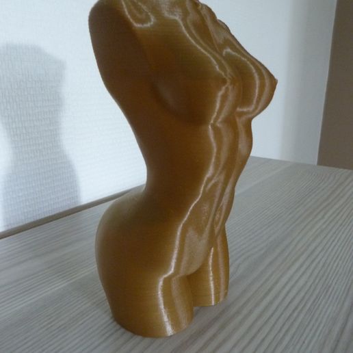 P1040325.JPG Download free STL file WOMAN BODY - POLYGON REDUCTION • 3D printing design, Omd