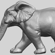 07_Elephant_01_92.6mmA01.png Free 3D file Elephant 01・Template to download and 3D print, GeorgesNikkei