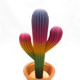 Cacti with Pots, 3DRicks