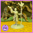 Eladrin-Elf-Female-Autumn-Printed.png Eladrin Elf Druid Woman | Autumn