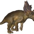 CHASMOSAURUS-4.jpg Chasmosaurus belli