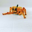 1-1.jpg Flexi Halloween Pumpkin Spider