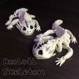 axolotl.png STL file Axolotl Articulated Flexible Skeleton・Design to download and 3D print