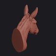 donkey_0007.jpg Donkey Head