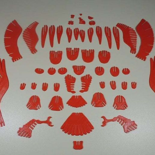 DSCN9557.JPG PUZZLE EN 3D : ÁGUILA ROJA