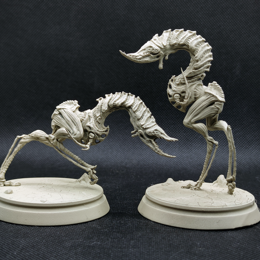 XenocraneSTL_01.png Xenocrane Couple