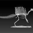 Spinosaurus4.jpg Spinosaurus SKELETON - FULL 3D Spinosaurus DINOSAUR BONES