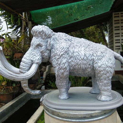 IMG20190514164539.jpg Mammouth