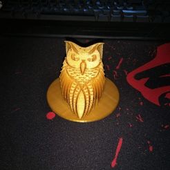 IMG_20200221_150041.jpg Download STL file owl - owl • 3D printable template, veroniqueduval9118
