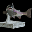 Rainbow-trout-trophy-4.png rainbow trout / Oncorhynchus mykiss fish in motion trophy statue detailed texture for 3d printing