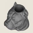 Pit-Bull-Dog-Face-Vase-02.jpg Vaso com cara de cão Pit Bull Modelo 3D pronto para impressão