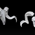 dsfsdfsd.jpg RAM SKULL