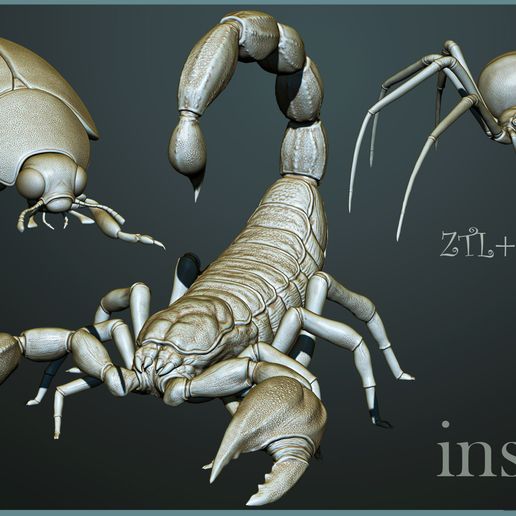 🐞 3 Insects・ 3D File for ・Cults