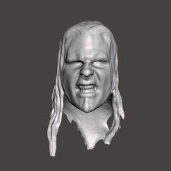 Screenshot-1537.png Fichier STL WWE WWF LJN Style Jeff Hardy Head Sculpt・Design pour imprimante 3D à télécharger