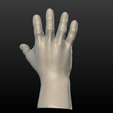Hand-06.png Hand
