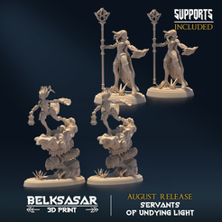 003.png 3D file Undying Light Windmage Nude and Normal Set x2・3D printing template to download